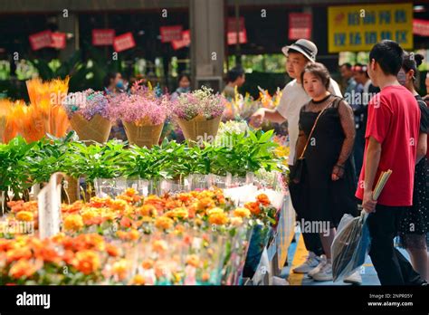 斗南花市如何進行郵寄：全面解析寄送花市的技巧與方法